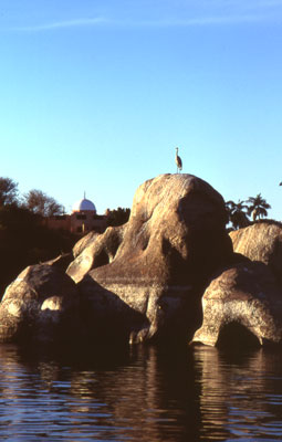 Nile River Bank at Assuan