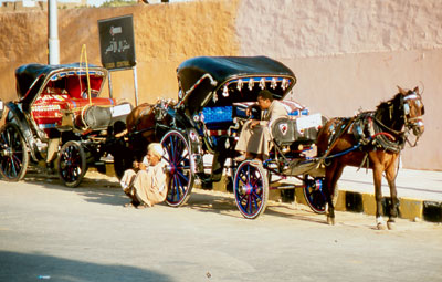 Coachmen in Luxor